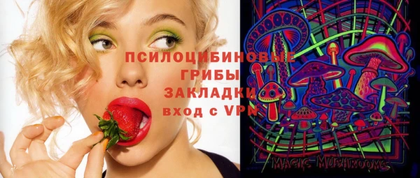 jwh Белокуриха