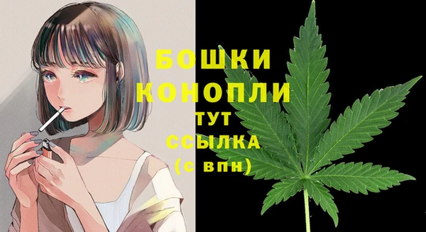 jwh Белокуриха