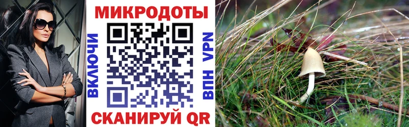 Галлюциногенные грибы MAGIC MUSHROOMS  Короча 